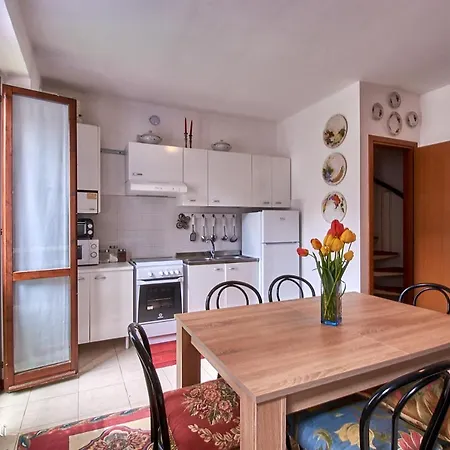 Orchidea Tatil Evi