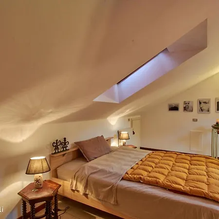 Tatil Evi Orchidea